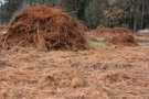 What remains after the process of willow stripping will be used to heat the oven for the boiling of the willlow