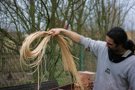 The soaking of wicker strips makes them more pliable and facilitates weaving