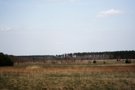 The landscape around the Polish Zagłębie wikliniarskie near Rudnik in the town of Kopka