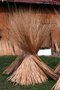 Bundles of willow, drying