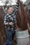 Sorting of the lengths of the willow rods